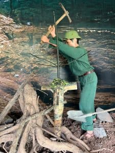 cây nhiệt đới