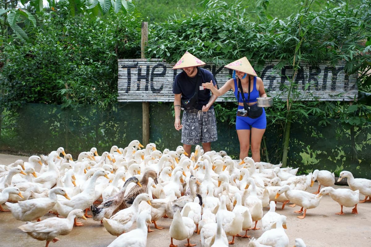 Trải nghiệm nông nghiệp khi chăn vịt tại Thung lũng Bồng Lai
